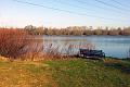 4. The lake beyond the bench